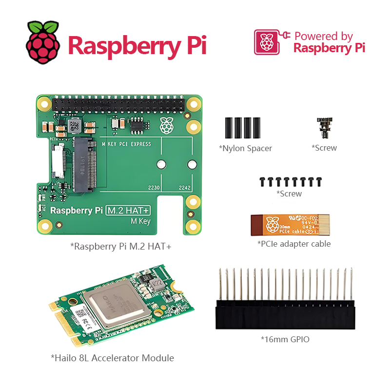 Das offizielle Raspberry Pi 5  – Raspberry Pi Ai Kit Hailo-8L Bewertung und Preis